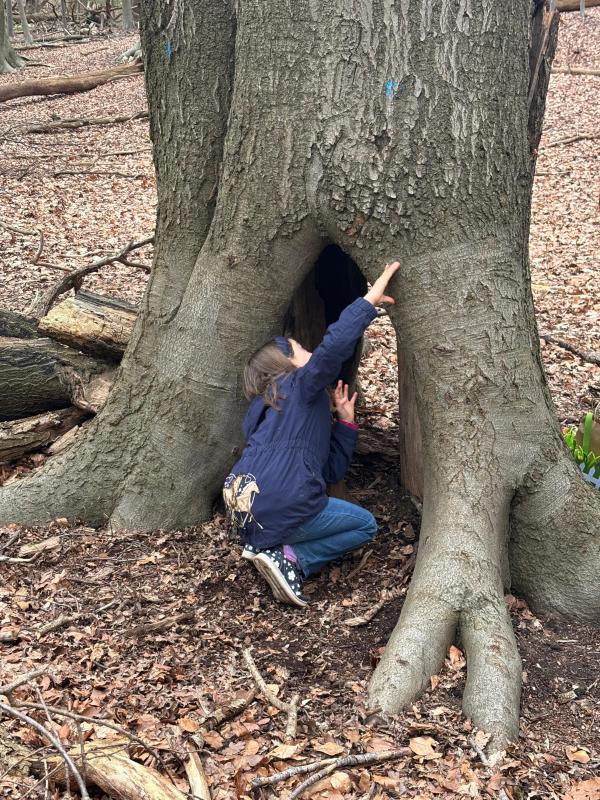 Kindergeburtstag im Wald – Bild 3